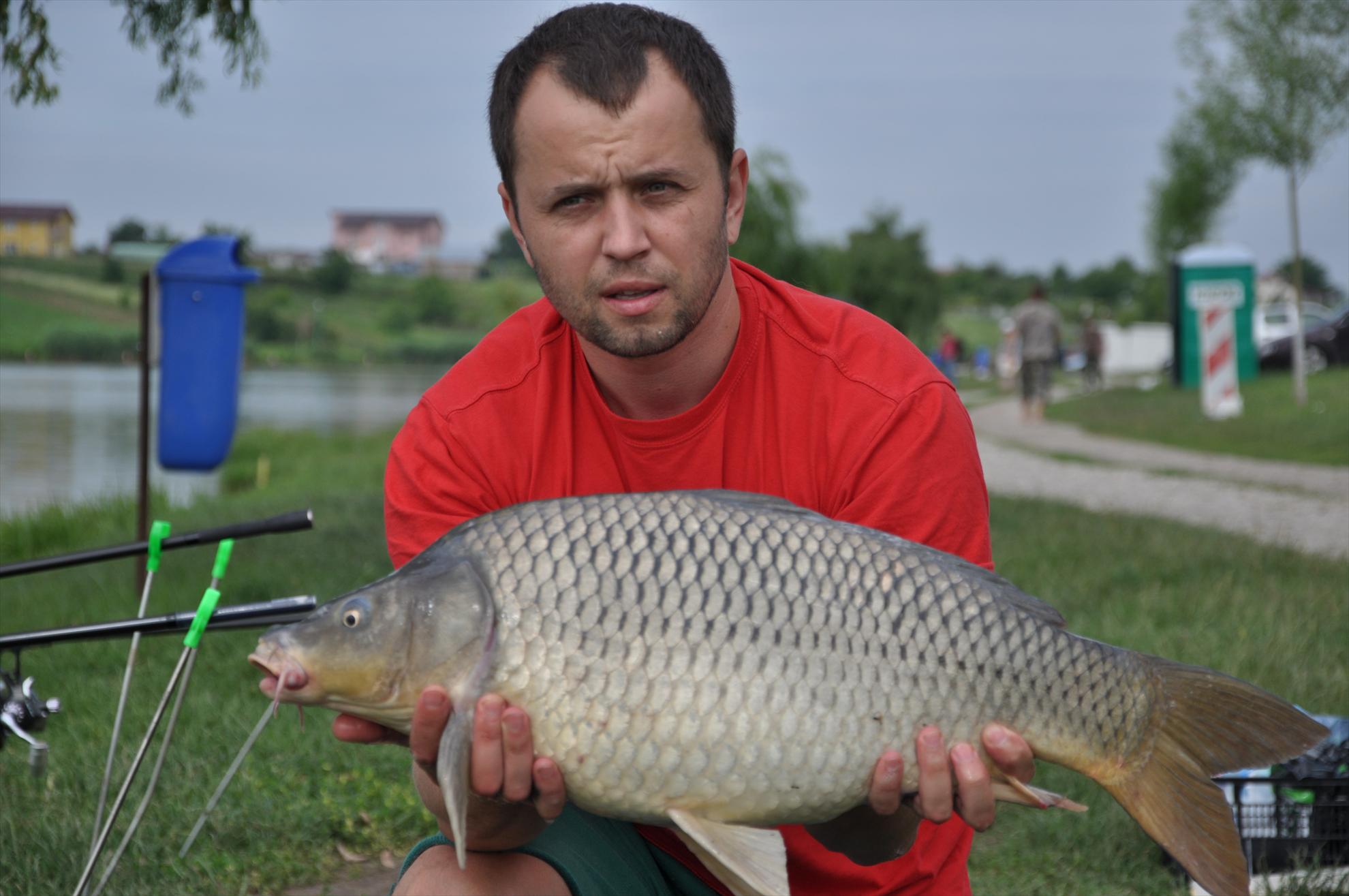 MV 2 - 09/06/2013 - dsc0013.JPG